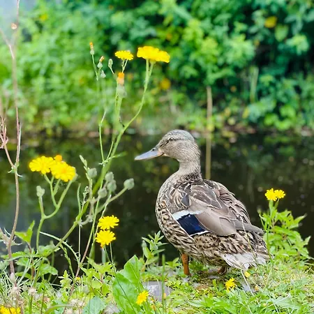 Landgoedhotel Vennendal