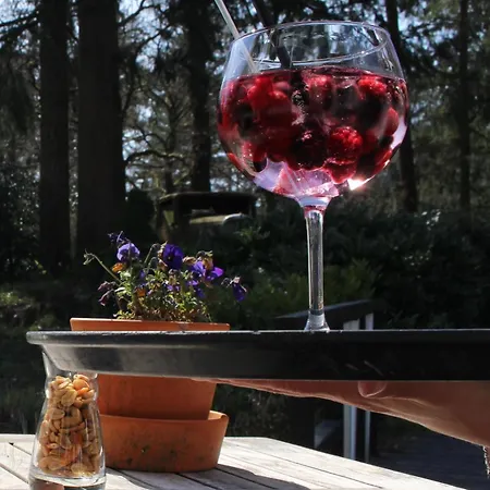 Landgoedhotel Vennendal Hotel Nunspeet