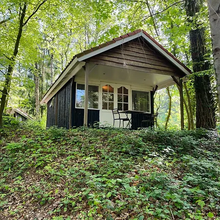 Landgoedhotel Vennendal Нюнспет