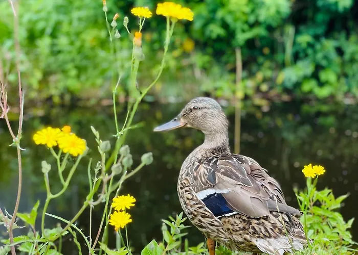 Landgoedhotel Vennendal